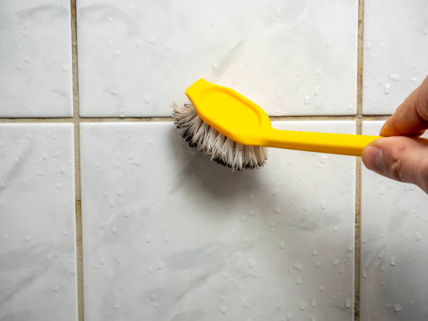 Best Mold Damage Repair  in Millville, DE