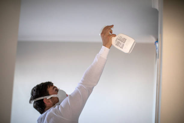 Best Mold Remediation Services  in Millville, DE