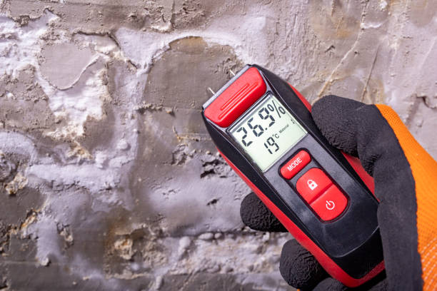 Best Fast Mold Removal  in Millville, DE